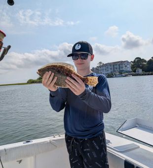 Nice summer flounder from Chincoteague VA waters!