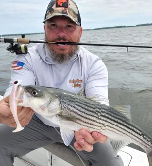 Best Fishing Charter for Striped Bass 