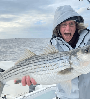 Nice Striped Bass Caught in Chesapeake Bay