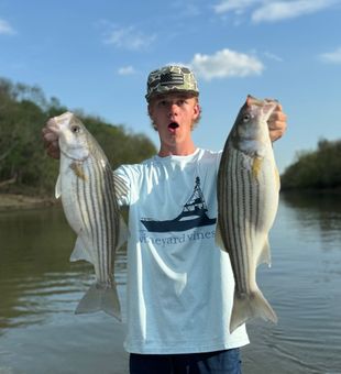 Another morning that started with a cast