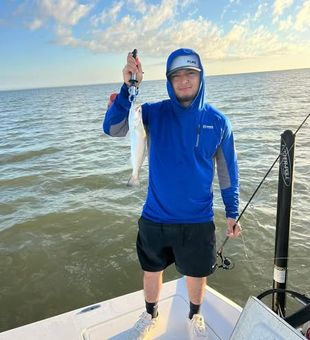 Awesome hook of the day!