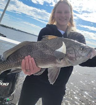 Black Drum Reels Of The Day In Florida Waters