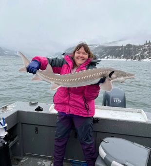 The elusive Sturgeon! Amazing catch!