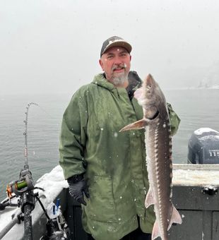 Amazing Sturgeon on display! Oregon Fishing!