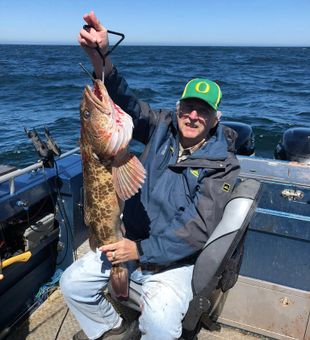 Monster lingcod near Reedsport