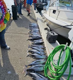 From salmon and steelhead to halibut and tuna, Oregon fishing has something for every angler.