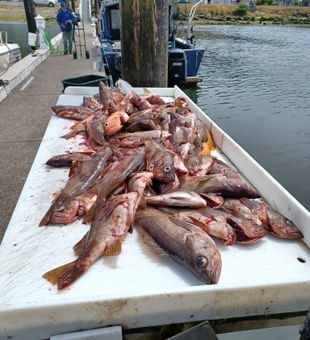 Smiles + fish = Reedsport win