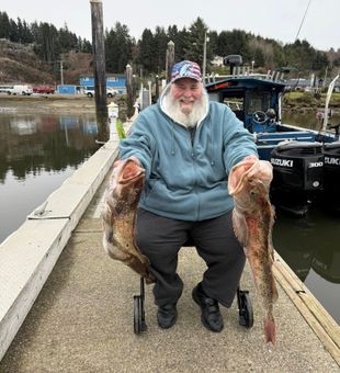 Epic Grouper Catches! - Winchester Bay, OR.