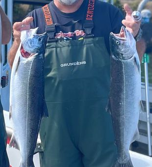 Coho Salmons! Clean Catch! - Winchester Bay, OR.