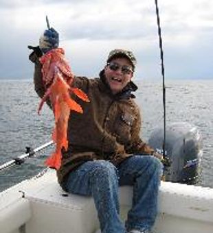 Tofino's Lingcod Beauty