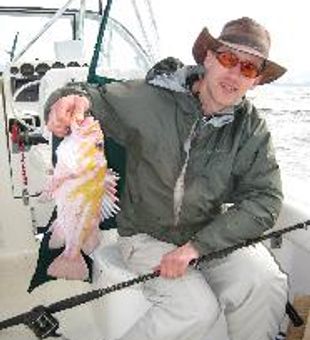 Fish Of The Day. Tofino's Finest Lingcod