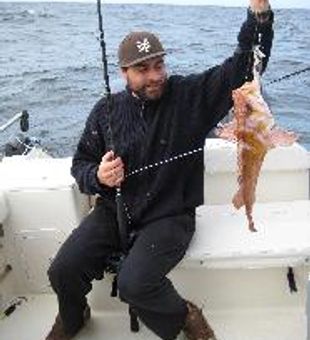 Reeled In Lingcod in Tofino, BC