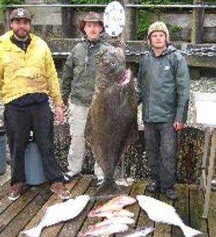 Tofino's Finest Halibut Reels Of The Day