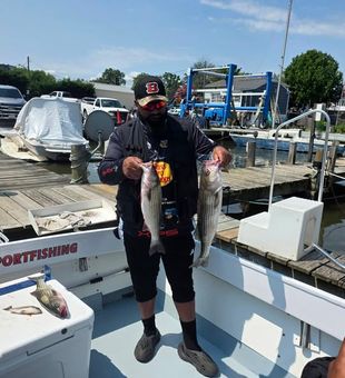 Spend the day in Baltimore casting along productive inshore waters with opportunities for anglers of every skill level.