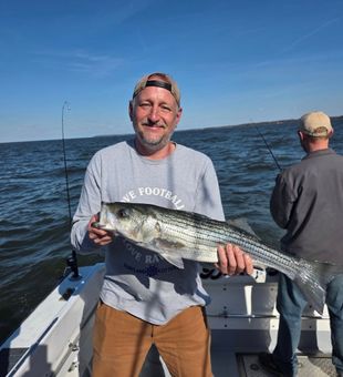 Keeper striped bass catch