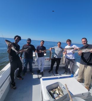 Harbor calm, rods ready