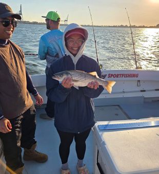 Beautiful striped bass landed in Baltimore MD waters!