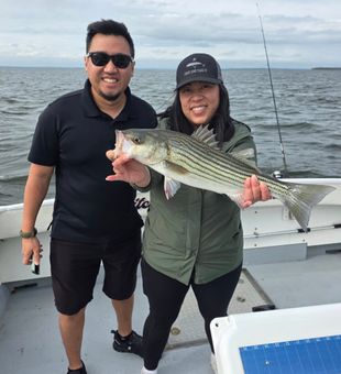 Fresh air, good company, steady action