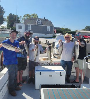 Striped bass days on the Chesapeake