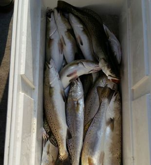 Best Port O'Connor Bay Fishing