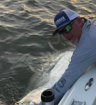 Evening tarpon power at the rail.