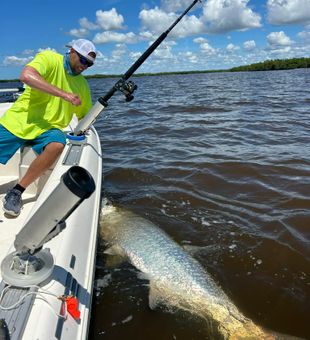 Bright tarpon moment under blue skies.