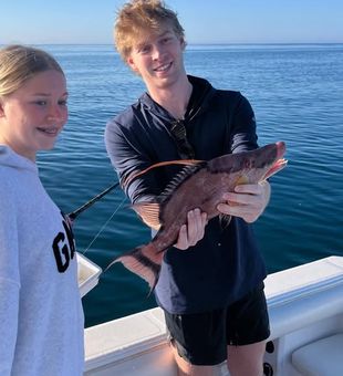 Hogfish Catch - Madeira Beach, FL.