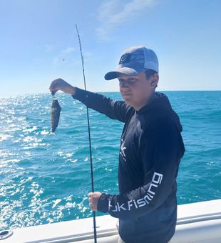 Enjoy a full Madeira Beach fishing trip exploring inshore waters, nearshore structure, and productive reef zones