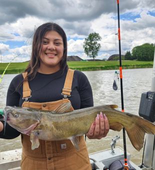 Strong channel catfish on the line!