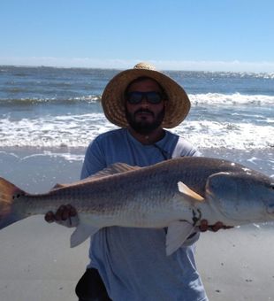 Folly Beach Fishing Redfish