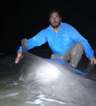 South Carolina's Shark Safari