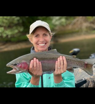 Trout Fishing In Lake Taneycomo