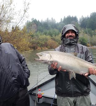 Heavy Northern California Chinook Salmon!