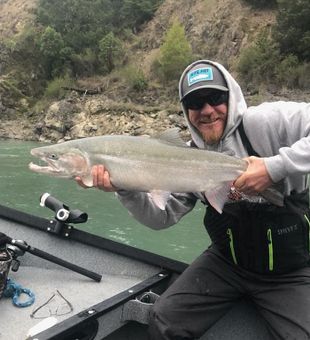 Massive Wild Steelhead Catch!