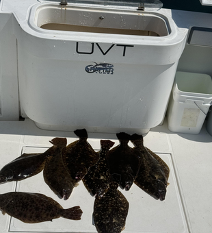 Halibut and flounder double-header in crystal clear waters!
