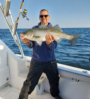 Powerful striped bass action on the Atlantic!