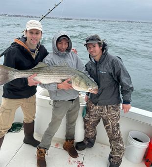 Nice striped bass from Neptune City NJ waters!