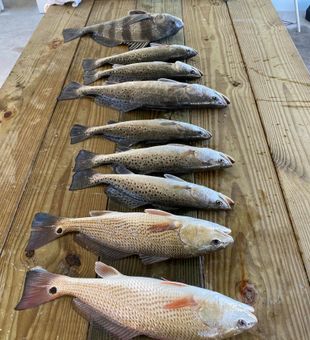 Tybee Island Fishing Charters : Trophy Fish Awaits