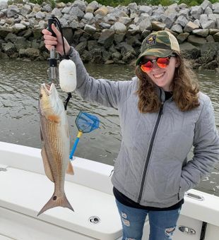 Peaceful mornings, productive waters in Tybee