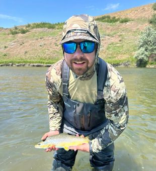 Exciting brown trout catch on the river!