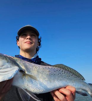 Massive speckled trout on coastal inshore fishing charter
