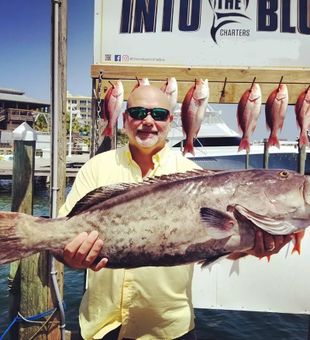 Grouper caught in Destin, FL