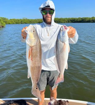 Redfish Wonders in St. Pete!