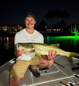 Chasing Snook, St. Pete Views