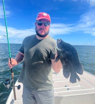 Tripletail Delight In Florida Waters