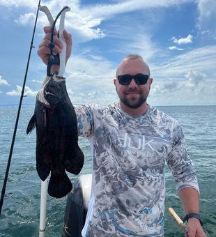 Tripletail Wonders In St. Pete.