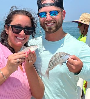 Looks like we've found a pig fish