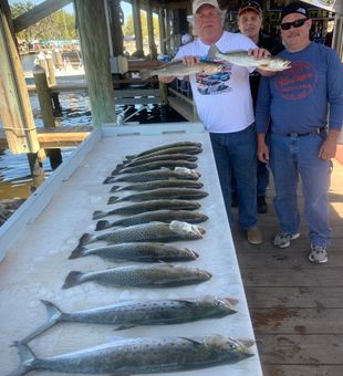 Fresh speckled trout haul.