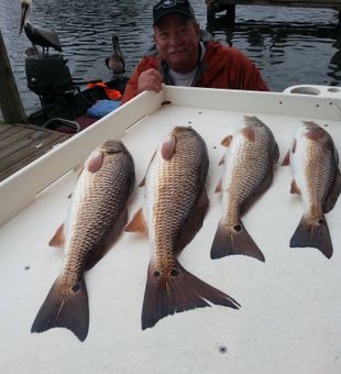 Quality redfish catch on the dock