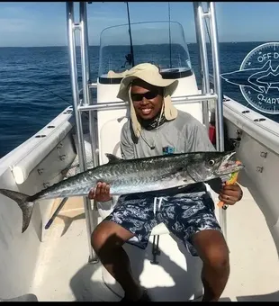 King Mackerel fish from South Carolina